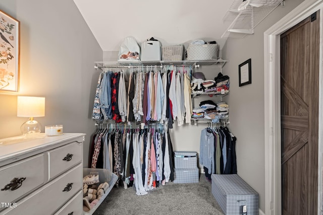 8221 Hempshire Pl Unit 101, Raleigh, NC 27613 - spacious closet with carpet flooring and lofted ceiling