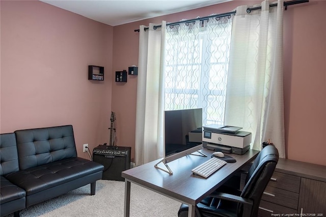 688 Townsend Rd, Raeford, NC 28376 - office space featuring carpet floors