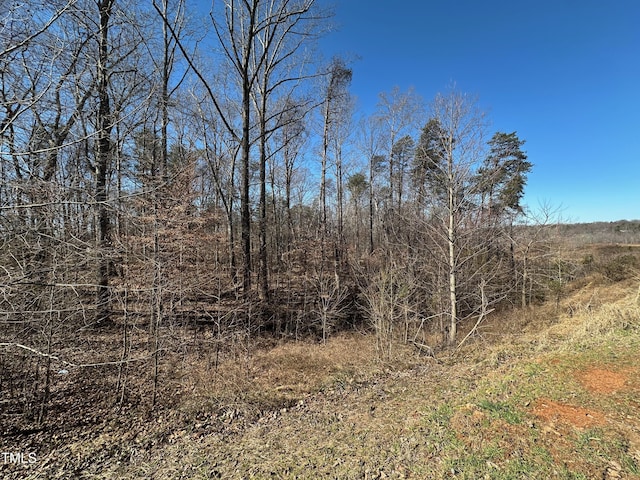 310 Hastings Hill Rd, Winston-Salem, NC 27284 - photo 8