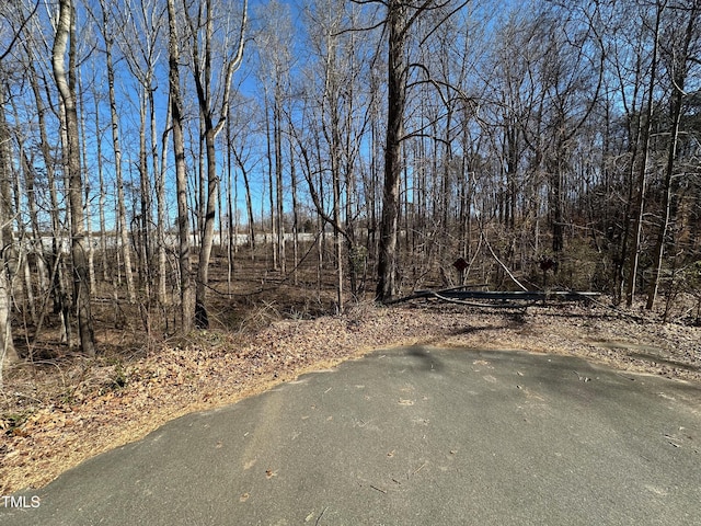 310 Hastings Hill Rd, Winston-Salem, NC 27284 - photo 22