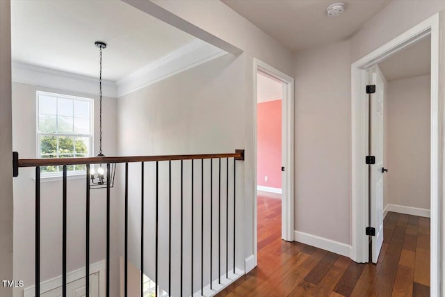 7414 Brandon Allen Ave, Raleigh, NC 27613 - corridor with dark wood-type flooring and crown molding