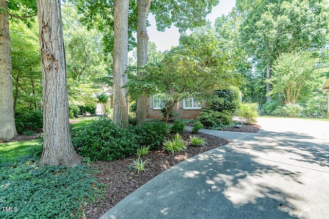 504 Woolwine Ct, Whitsett, NC 27377 - photo 34