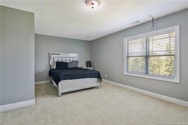 442 Kentucky Derby Ln, Lillington, NC 27546 - photo 31