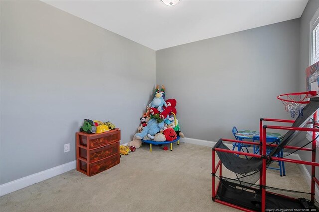 442 Kentucky Derby Ln, Lillington, NC 27546 - photo 41