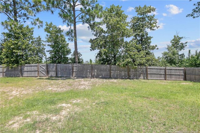 442 Kentucky Derby Ln, Lillington, NC 27546 - photo 46