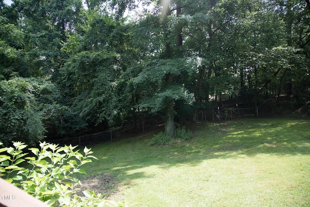 4028 Chaucer Dr, Durham, NC 27705 - view of yard