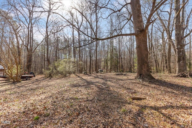 1508 Carroll Heights Rd, Zebulon, NC 27597 - photo 33