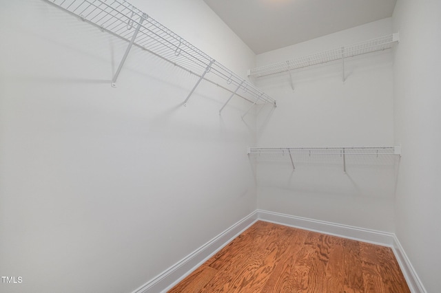 9510 Dellbrook Ct, Raleigh, NC 27617 - photo 22