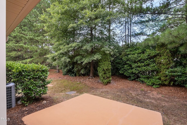 9510 Dellbrook Ct, Raleigh, NC 27617 - photo 27