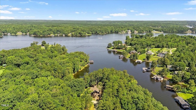 424 Roy Carver Rd, Semora, NC 27343 - aerial view of a nearby body of water