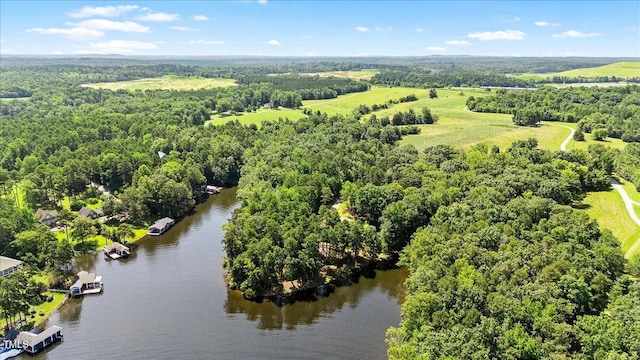 424 Roy Carver Rd, Semora, NC 27343 - drone / aerial view of a large body of water and a forest