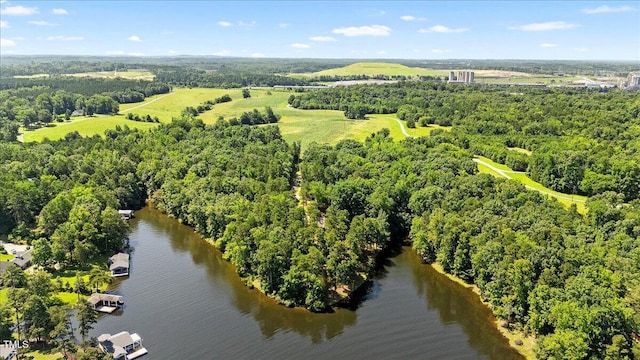 424 Roy Carver Rd, Semora, NC 27343 - aerial view of a nearby body of water