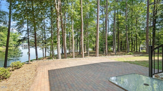 424 Roy Carver Rd, Semora, NC 27343 - view of patio / terrace featuring a water view