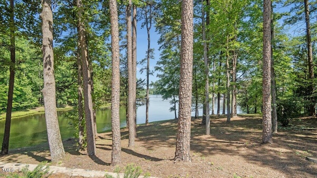 424 Roy Carver Rd, Semora, NC 27343 - water view
