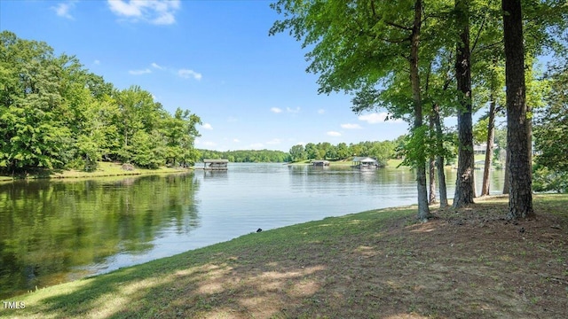 424 Roy Carver Rd, Semora, NC 27343 - water view featuring a forest