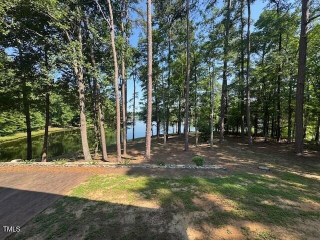 424 Roy Carver Rd, Semora, NC 27343 - view of yard featuring a water view