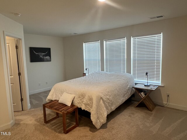 78 Burford Way, Angier, NC 27501 - photo 14