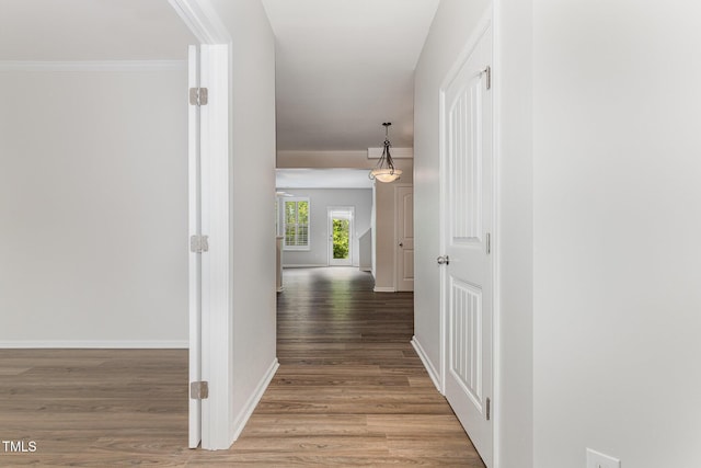 14309 Foxcroft Rd, Raleigh, NC 27614 - hallway featuring light wood-style floors and ornamental molding