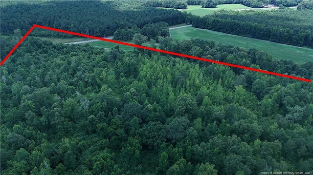 0000 Covington Rd, Bunnlevel, NC 28323 - photo 1