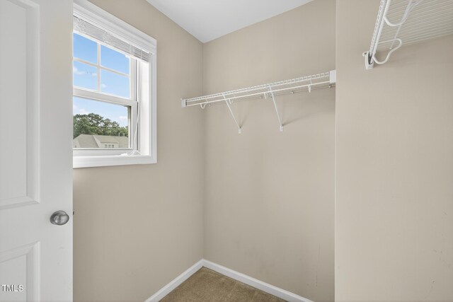 102 N Porcenna Ln, Clayton, NC 27527 - photo 42