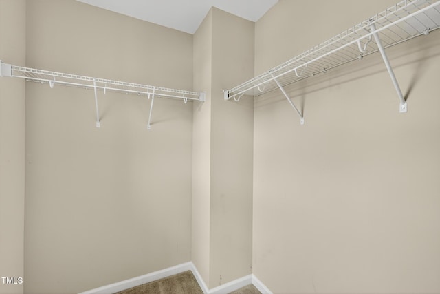 102 N Porcenna Ln, Clayton, NC 27527 - photo 43