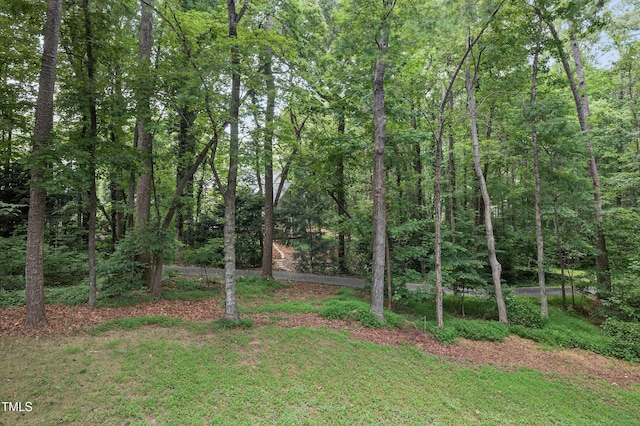 405 Evert Dr, Cary, NC 27511 - photo 48