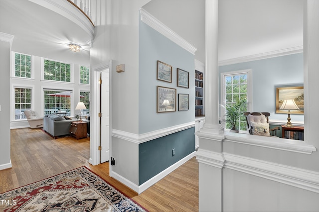 405 Evert Dr, Cary, NC 27511 - photo 6