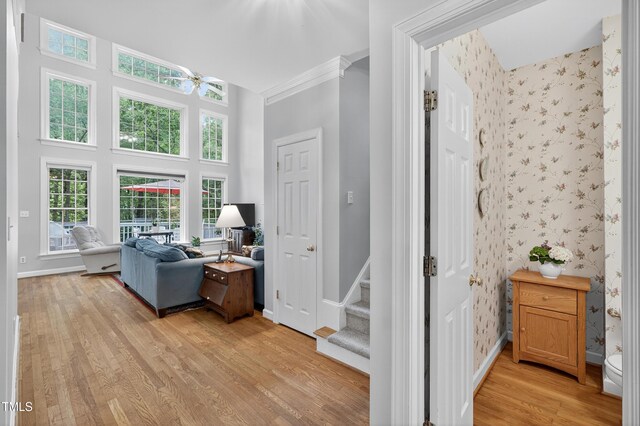 405 Evert Dr, Cary, NC 27511 - photo 11