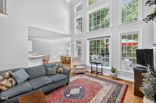 405 Evert Dr, Cary, NC 27511 - photo 14