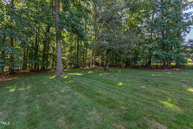 2012 Silverleaf Dr, Youngsville, NC 27596 - photo 52