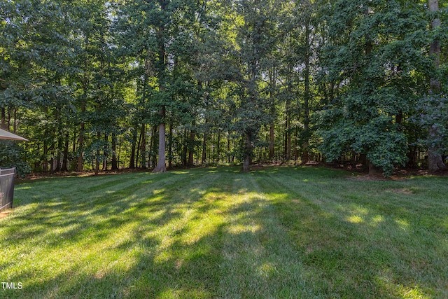 2012 Silverleaf Dr, Youngsville, NC 27596 - photo 53