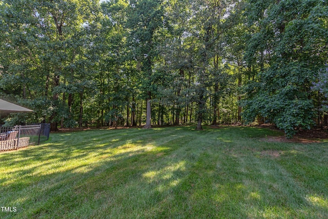 2012 Silverleaf Dr, Youngsville, NC 27596 - photo 54