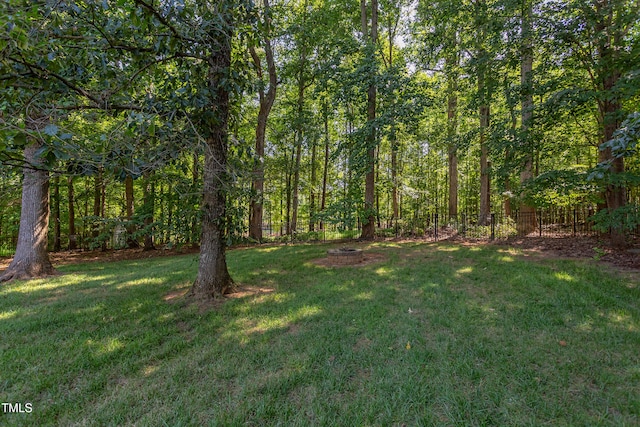 2012 Silverleaf Dr, Youngsville, NC 27596 - photo 55