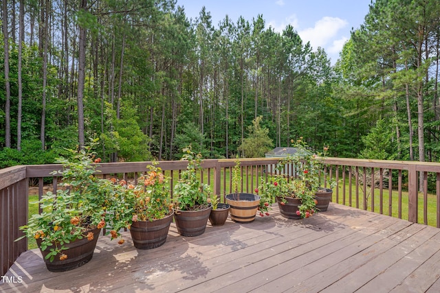 1210 Bayview Ct, Franklinton, NC 27525 - photo 27
