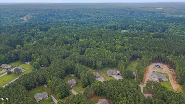 1210 Bayview Ct, Franklinton, NC 27525 - photo 37
