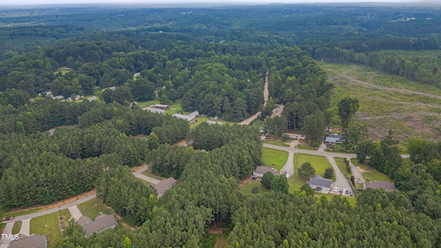 1210 Bayview Ct, Franklinton, NC 27525 - photo 39