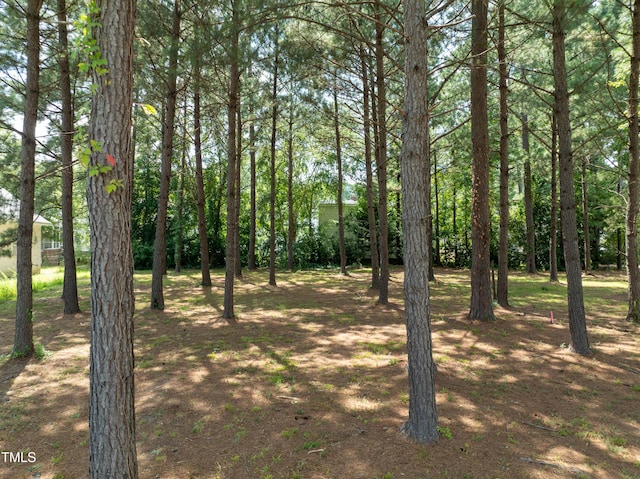 1124 Azalea Ln NW, Wilson, NC 27893 - photo 3