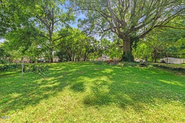 813 N Main St, Burlington, NC 27217 - view of yard