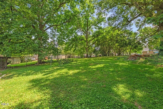 813 N Main St, Burlington, NC 27217 - view of yard with view of scattered trees