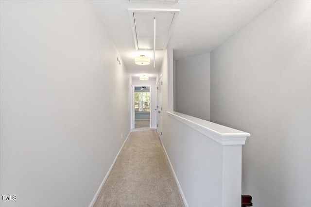 3021 Winding Waters Way, Raleigh, NC 27614 - hall with attic access, carpet flooring, and an upstairs landing
