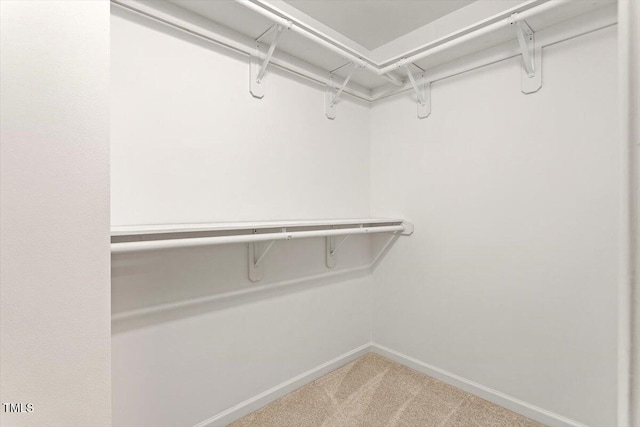 3021 Winding Waters Way, Raleigh, NC 27614 - walk in closet with carpet floors