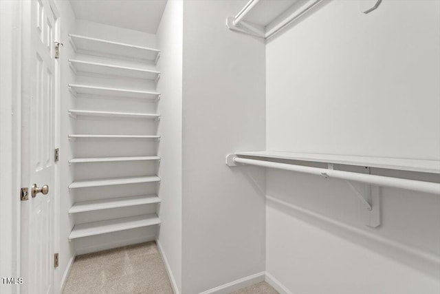 3021 Winding Waters Way, Raleigh, NC 27614 - walk in closet with carpet floors