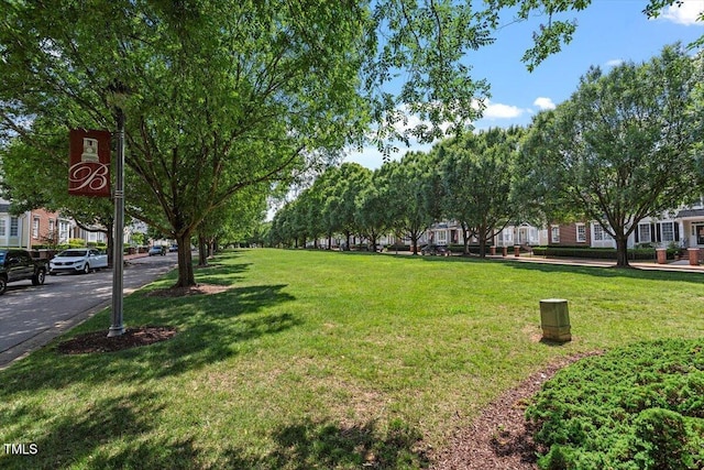 3021 Winding Waters Way, Raleigh, NC 27614 - view of grassy yard