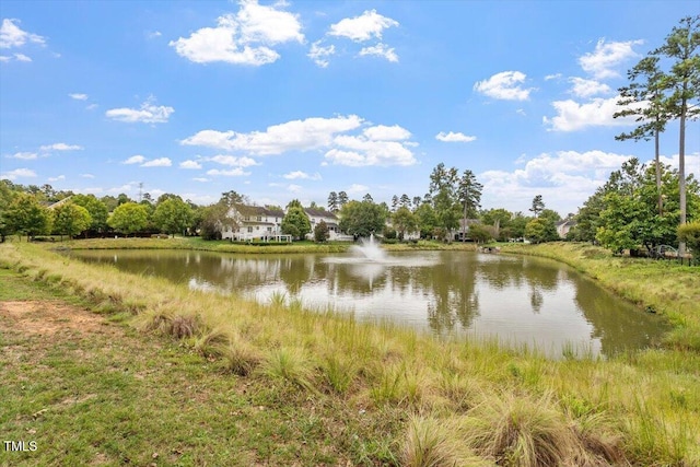 3021 Winding Waters Way, Raleigh, NC 27614 - water view
