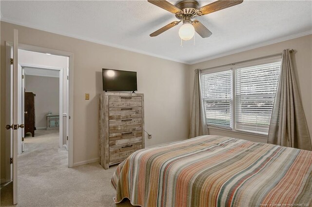 513 Hilliard Dr, Fayetteville, NC 28311 - photo 42