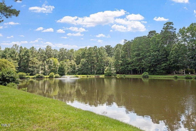 116 Agassi Ct, Cary, NC 27511 - photo 9
