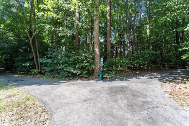 116 Agassi Ct, Cary, NC 27511 - photo 47
