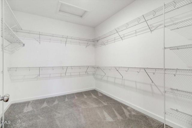 106 Fynloch Chase Dr, Fremont, NC 27830 - spacious closet featuring attic access and carpet flooring