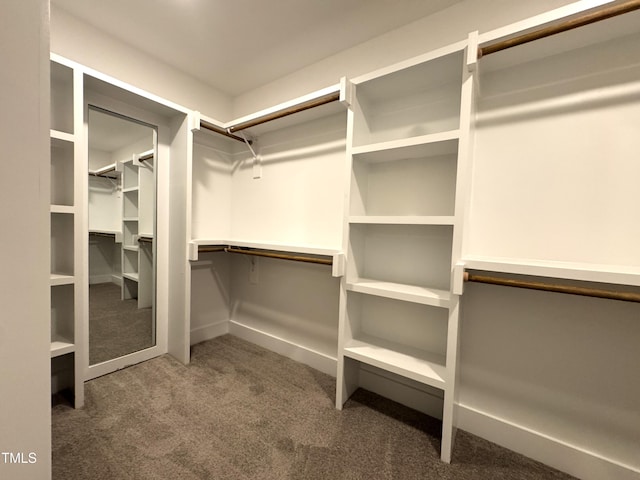 116 Chestnut St, Durham, NC 27707 - photo 12