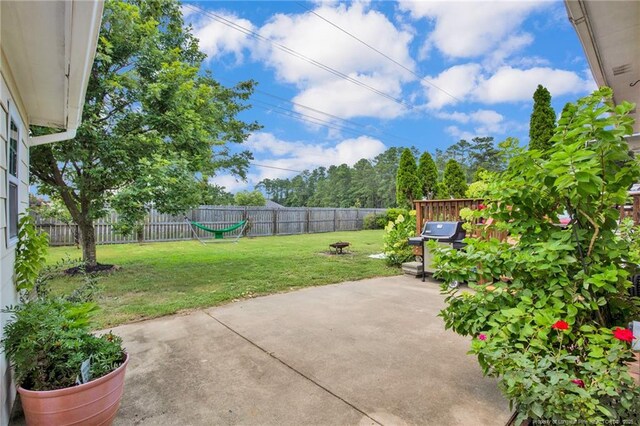 2924 Frontera Pl, Fayetteville, NC 28306 - photo 39